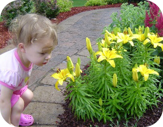 Baby in Bed of Flowers