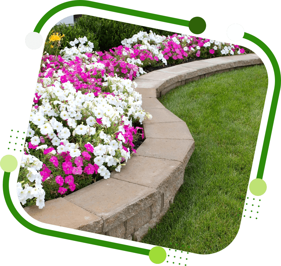 Pink and White Petunias